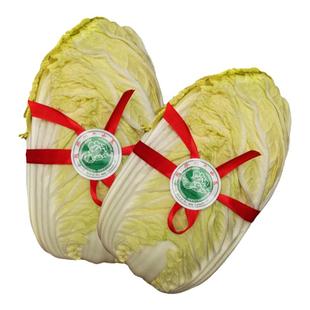 山东大白菜农家自种 胶州墨水河大白菜特产农产品新鲜蔬菜