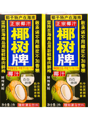 椰树正宗海南特产椰汁1L×2盒