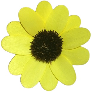 干花专用染料芦苇染色剂狗尾草染叶脉木头草编纸染色红蛋碱性扎染