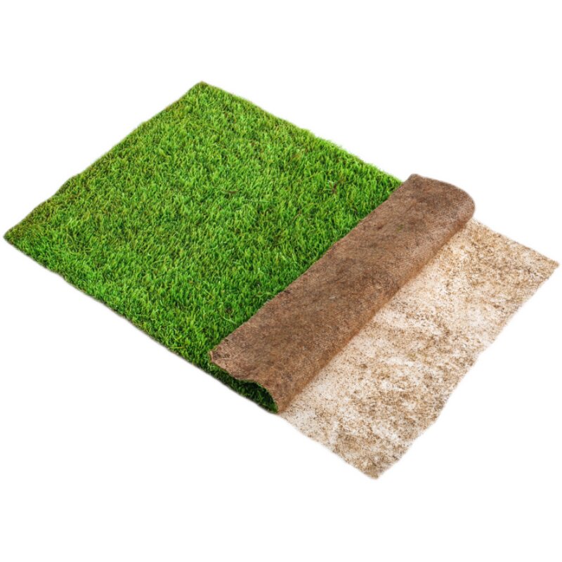 鲜活苔藓微景观盆景蒲面青苔纱布短绒小灰苔藓庭院草皮雨林水陆缸