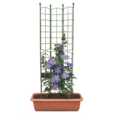 铁线莲花架GARDENHELPER/园之助