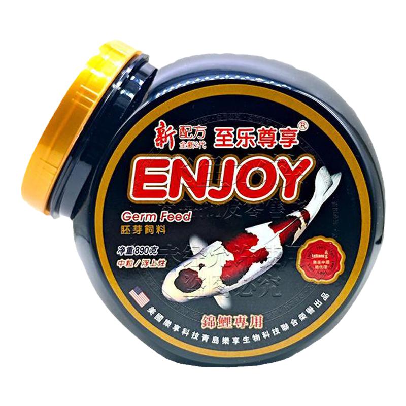 美国黑瓶胚芽观赏锦鲤上浮鱼