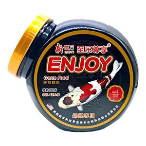 美国黑瓶胚芽观赏锦鲤上浮鱼