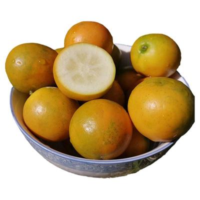 【双11活动大促中】滑皮脆皮金桔