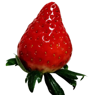 奶油草莓新鲜水果章姬草莓山东整箱超大甜宝胜丹东99草莓孕妇礼盒