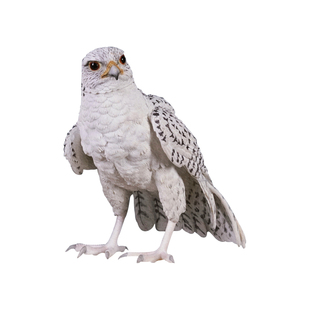 JXK 1/3海东青仿真动物鸟类模型玩偶手办摆件搭配BJD兵人偶GK玩具