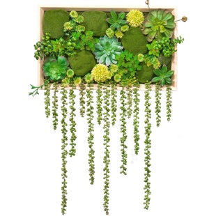 仿真多肉垂挂植物壁挂墙面装饰家居绿植画墙饰客厅餐厅背景墙装饰