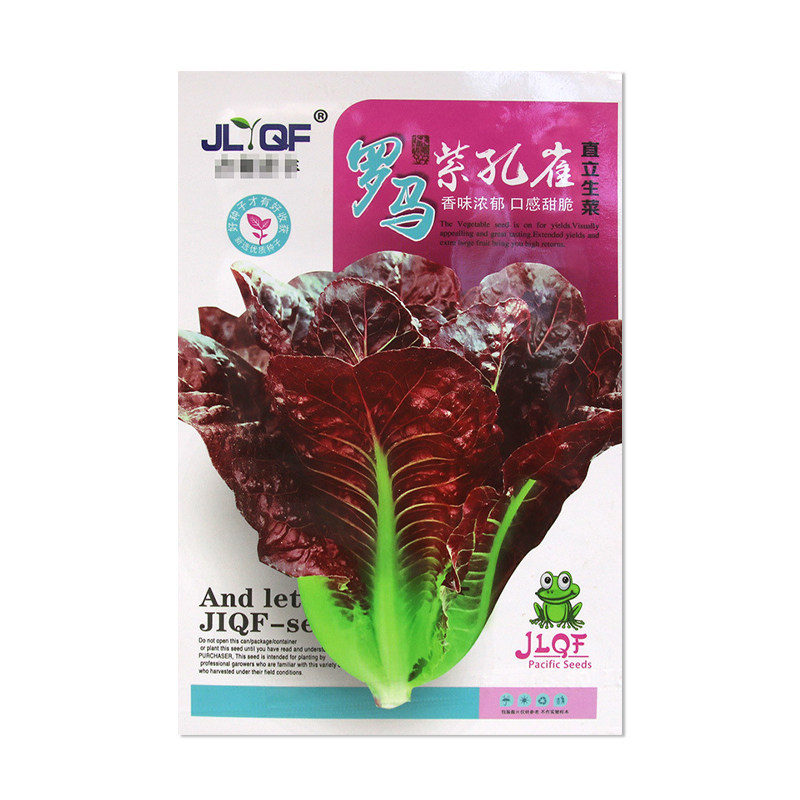 吉利青丰罗马紫孔雀菜种子