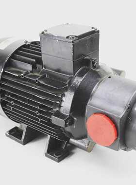 Olaer S615606/3 / Vestas QPM 40-4-1.5-690V/50Hz Vacuum Pump