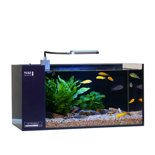 40侧滤水景缸三湖缸原生缸自循环水草缸全套带景超白玻璃鱼缸过滤