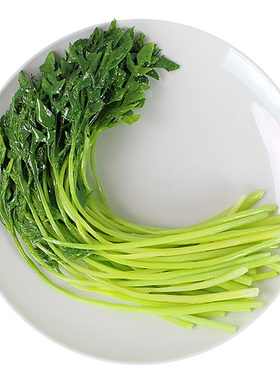 仿真水芹菜食品模型假菜样品菜模