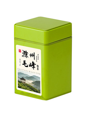 2026西涧施集春雪绿茶