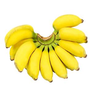 纯香果 广西小米蕉香蕉新鲜水果9斤小香芭蕉苹果蕉自然熟当季整箱