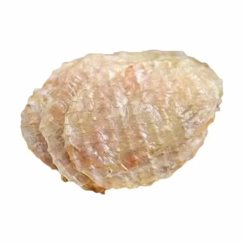温州特产马面鱼烤干海鲜烧烤原料