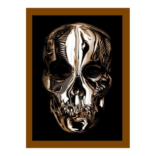 【预售】英文原版画册 亚历山大·麦昆：野性之美 大都会艺术博物馆 时尚品牌文化 设计fashion design Alexander McQueen