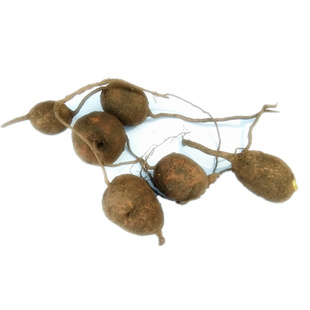 贵州金果榄新鲜地苦胆中药材山慈菇 青牛胆九牛胆金线吊葫芦500克