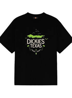 Dickies户外露营风TEXAS印花短袖