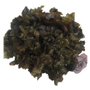 新货地皮菜免洗 河南特产 野生干地软地木耳地曲挛500克包邮