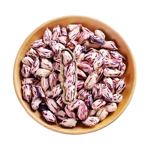 云南七彩花生种子带壳原种早熟高产花皮花生米种籽春季蔬菜种孑籽