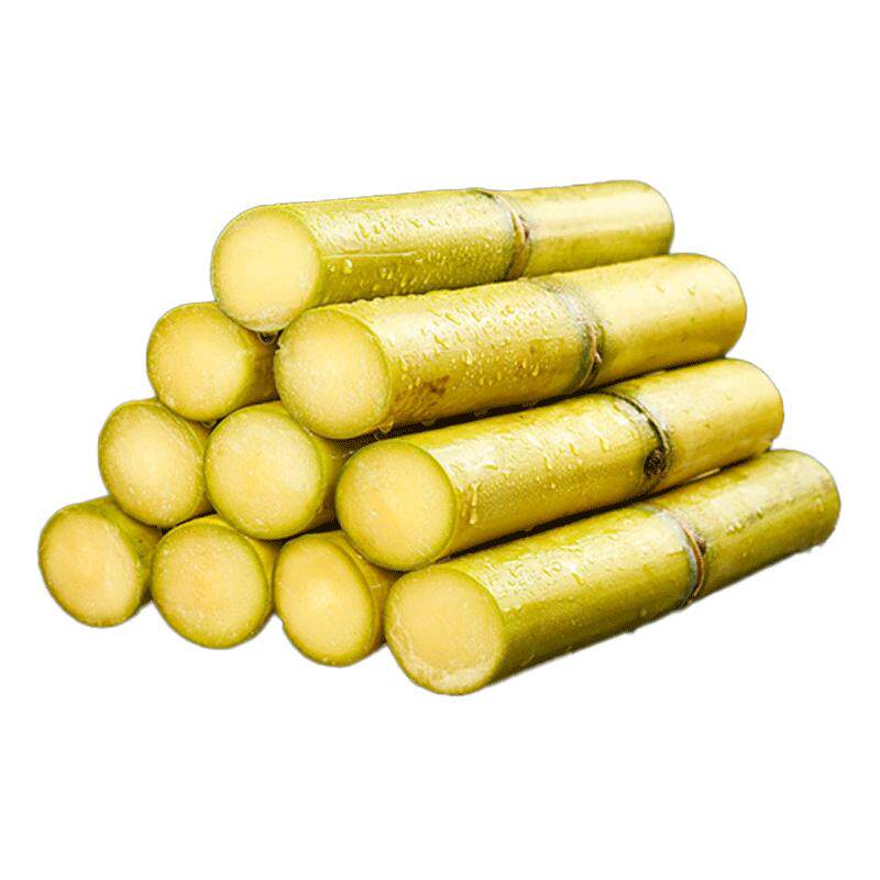 正宗黄金甘蔗当季新鲜脆甜甘蔗现砍中段长节脆甜皮薄9斤包邮A