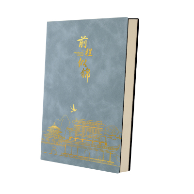 软皮面a5笔记本本子2025高颜值