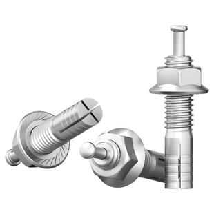 M6M8M10,M12-M20双圣 304不锈钢膨胀螺栓 击芯膨胀 螺丝 锤钉壁虎