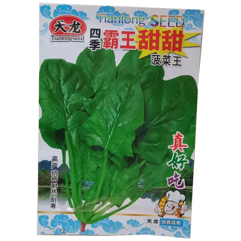 春天春季蔬菜种子大全阳台菜园四季种植无土栽培当季播种各种菜籽