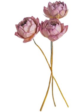 禅意装饰摆件自然荷花插花插花