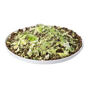 威尔逊馋嘴孢子甘蓝碎冻干狗狗蔬菜水果无添加小包菜酥脆成犬零食