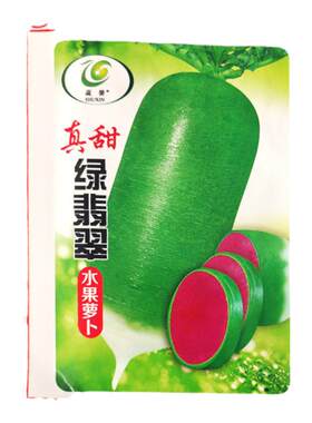 蔬菜紫美人凤梨水果阳台盆栽萝卜