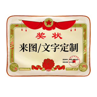 定制奖状毛毯被子老爸师公婆送妈妈男女朋友浪漫实用的生日礼物节