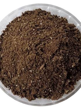 观音莲座蕨马蹄蕨凤尾蕨营养花土盆景栽植物专用翻换有机土壤透气