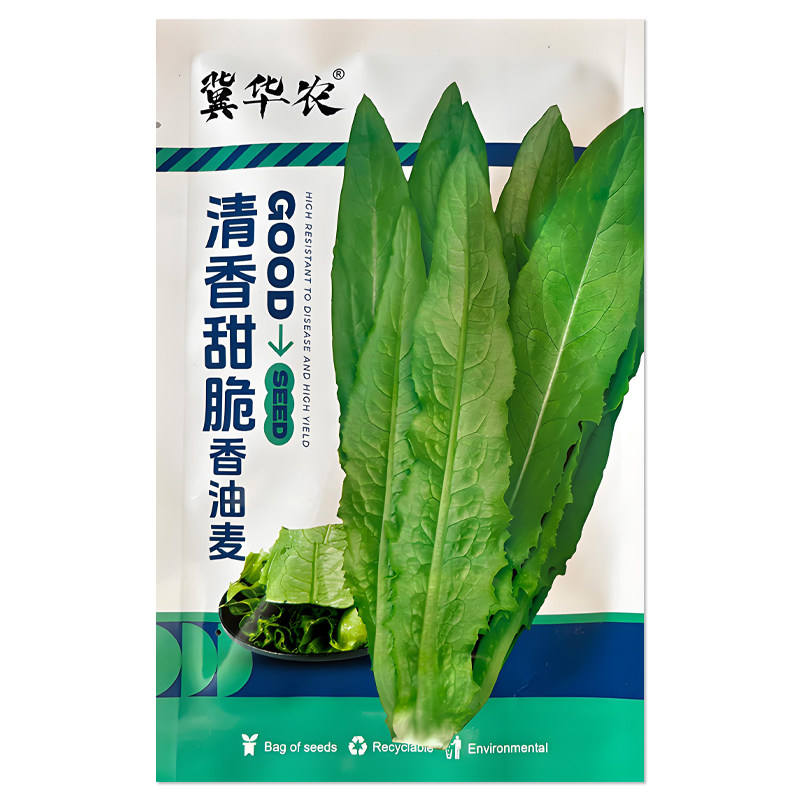 清香甜脆香油麦菜种子