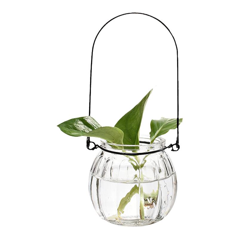 4个绿植花卉玻璃花瓶观叶观根植物吊瓶水培植物容器水生水养绿萝