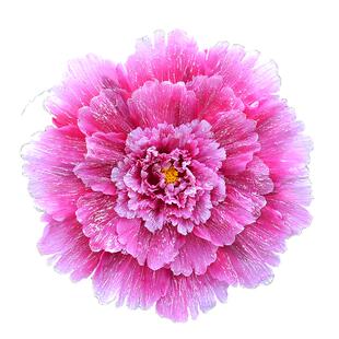 幼儿园舞蹈道具演出手拿牡丹花伞运动会开幕式入场手花秧歌跳舞花