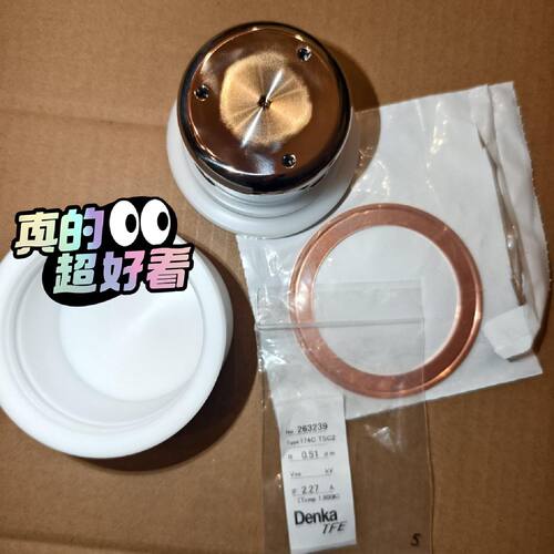 Denka TFE 热电偶 174C TSC2  SN 26