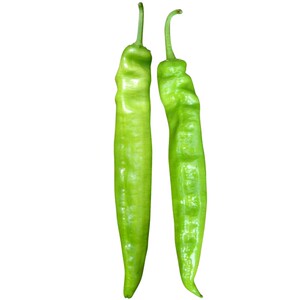 尖椒种子苗黄皮羊角椒种籽大果辣椒种苗春季阳台盆栽四季蔬菜种孑