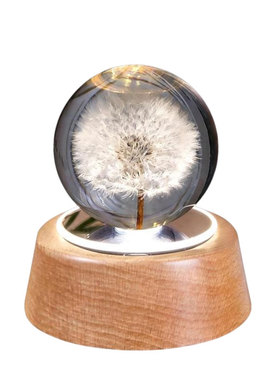 蒲公英标本发光水晶球音乐盒八音盒小夜灯创意礼物送人摆件蓝牙