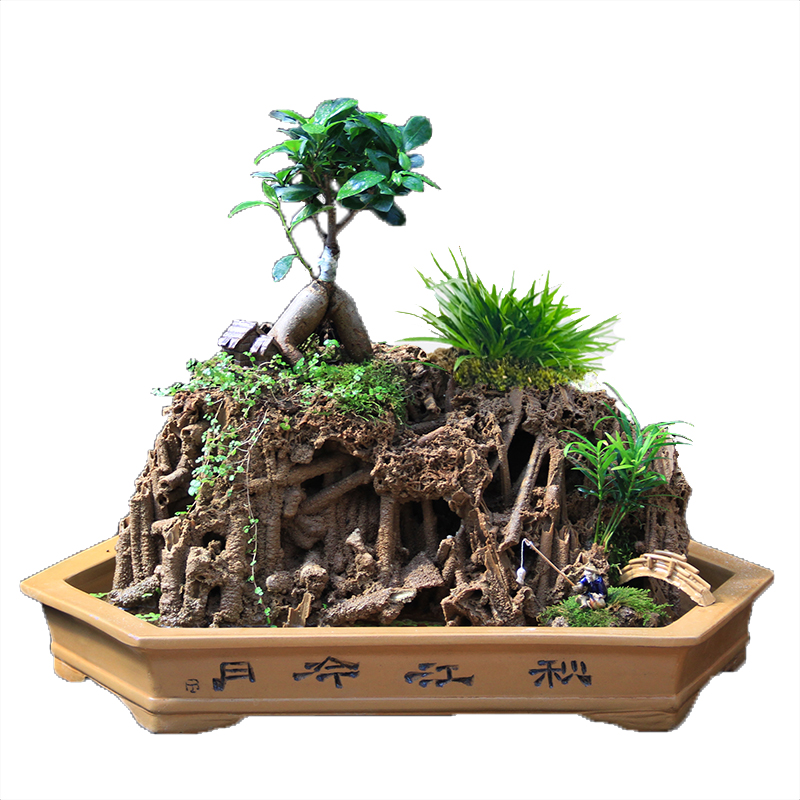 天然精品吸水石上水石原石蘆管石麥管石植物化石假山盆景擺件