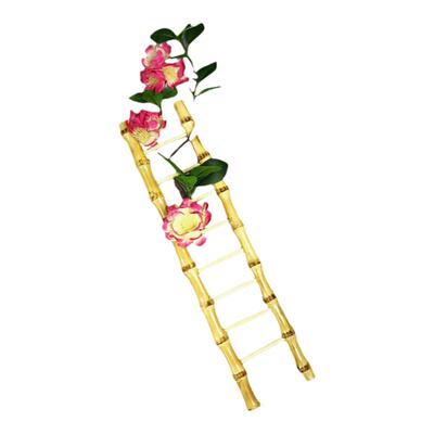 刺身摆盘装饰竹梯子点缀摆件