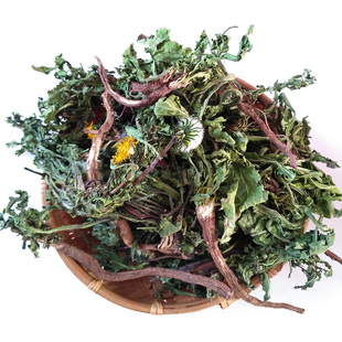 蒲公英茶天然浦公英茶整颗棵带根干婆婆丁全草花新品包邮500g