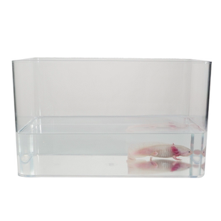 六角恐龙鱼亚克力小鱼缸一体成型专用缸蝾螈宠物辣椒蟹小型饲养缸