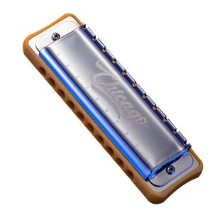 JDR嘉德瑞芝加哥chicago布鲁斯蓝调十孔口琴10孔C调初学者paddy