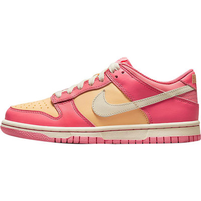 Nike/耐克正品大童复古板鞋