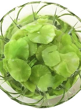 新货莴笋干莴笋干云南新鲜易泡发