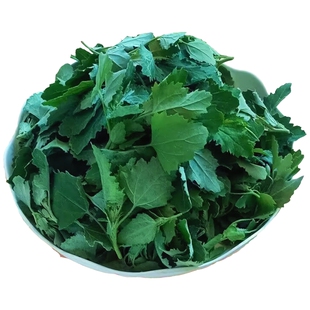 现采新鲜野生灰灰菜天然野菜灰条菜时令蔬菜藜菜营养丰富灰菜包邮