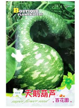 天鹅葫芦种子鹤首异形葫芦