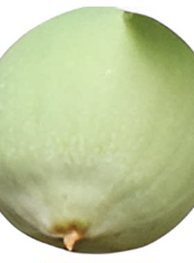 野生凉粉籽手搓冰粉籽p爱玉批 发商用薜荔木莲木瓜500g不加石灰