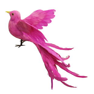 仿真鸟彩色羽毛长尾凤凰鸟家居好物装饰客厅摆件摄影道具园林庭院