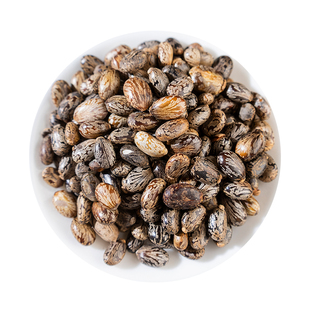 蓖麻子 蓖麻籽中药材新鲜干货500g包邮大粒 蓖麻籽种子 红大麻子